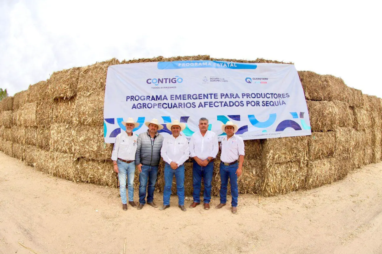 Como parte de la ayuda, además del forraje se ha estado repartiendo agua para el ganado en el estado de Querétaro. Foto: Cortesía
