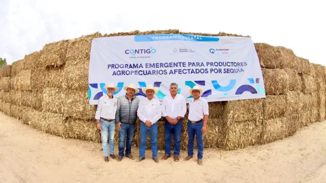 Como parte de la ayuda, además del forraje se ha estado repartiendo agua para el ganado en el estado de Querétaro. Foto: Cortesía