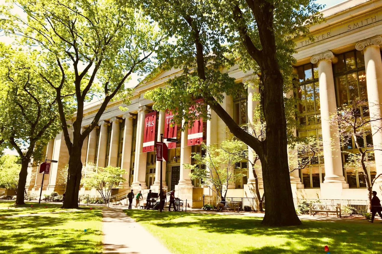 No dejes pasar esta gran oportunidad que Harvard brinda gratuitamente | Imagen Emily Karakis