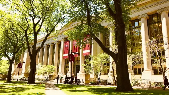 No dejes pasar esta gran oportunidad que Harvard brinda gratuitamente | Imagen Emily Karakis