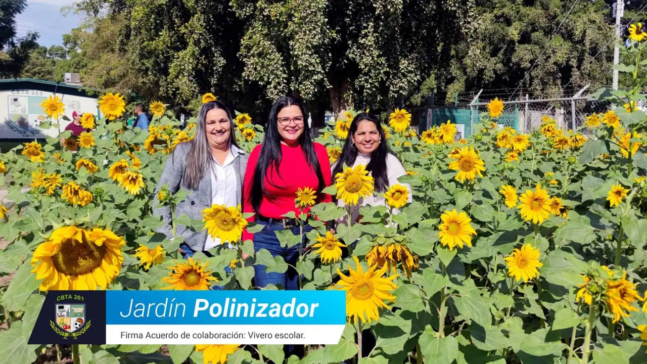 El CBTA 261 de Villa Juárez se prepara para producir 3 mil árboles para el municipio de Navolato