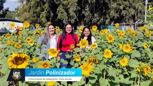 El CBTA 261 de Villa Juárez se prepara para producir 3 mil árboles para el municipio de Navolato