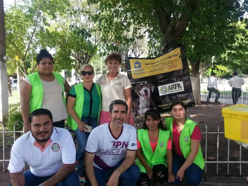 Personal voluntario que colabora en campañas de esterilización de mascotas