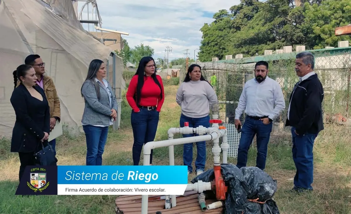 Sistema de riego e invernaderos con los que estudiantes producen árboles 