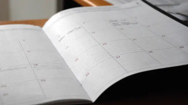 Mes de Marzo está por llegar | Imagen cortesía