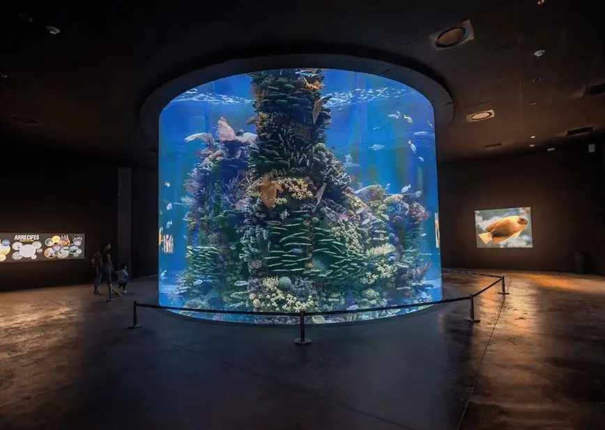 Exhibición del Gran Acuario Mazatlán