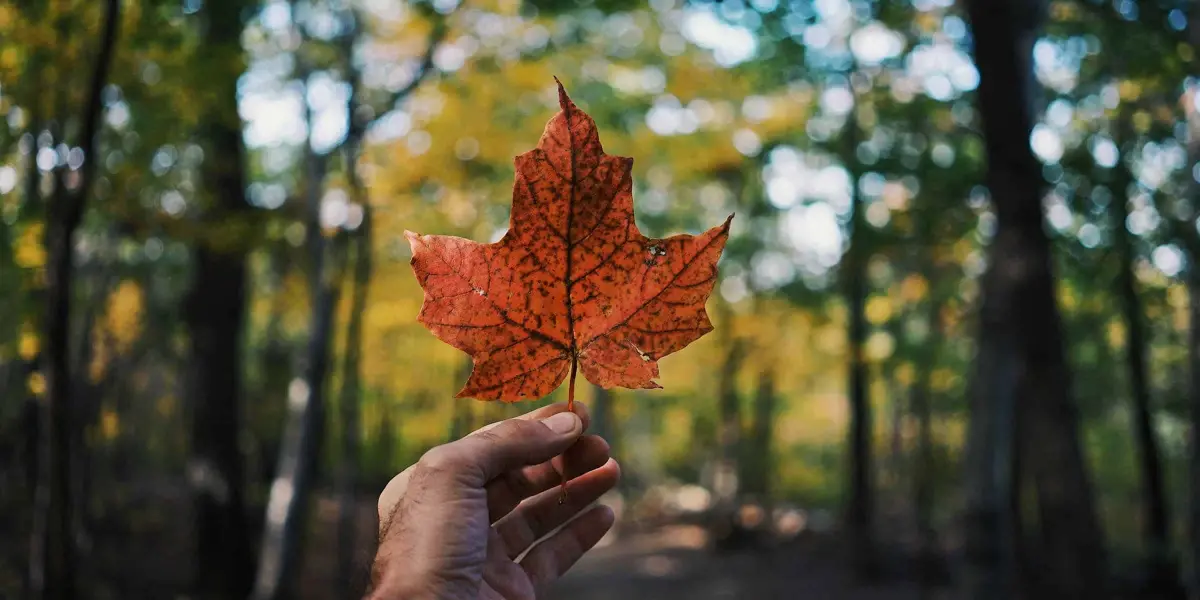 Canadá.