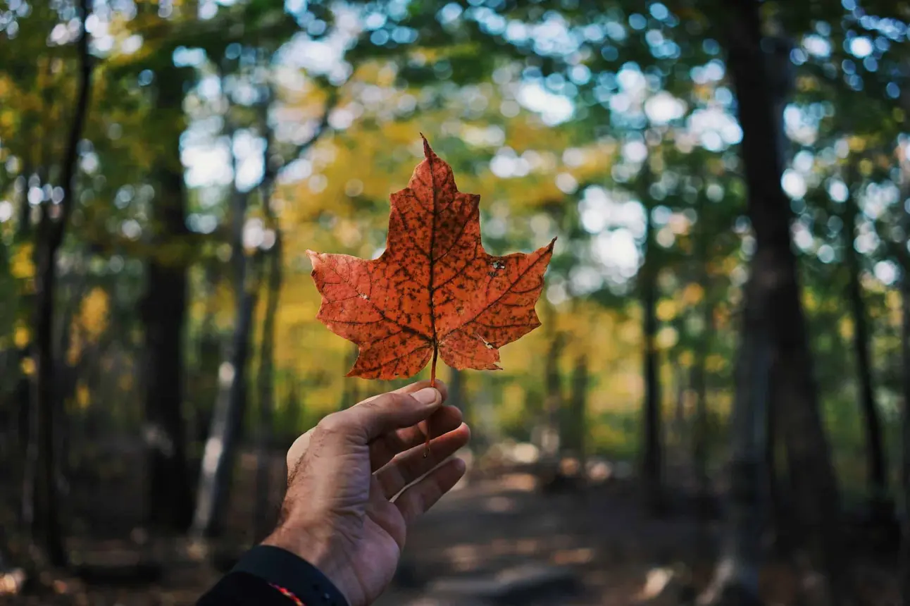 Canadá.