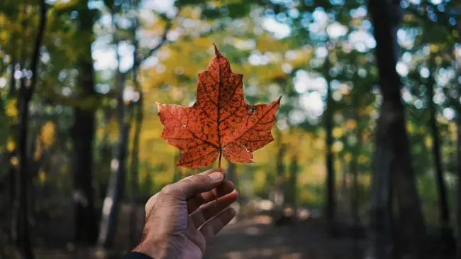 Canadá.