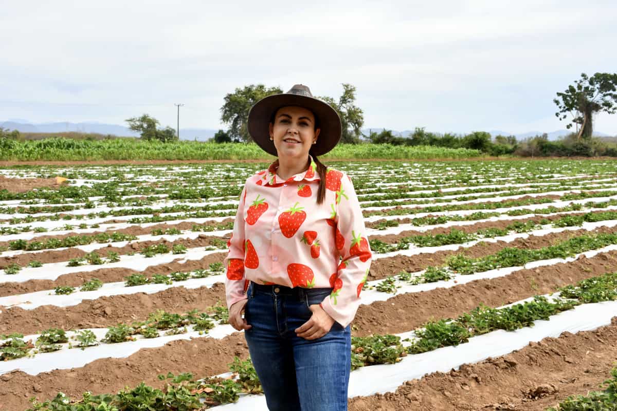 Irma Alicia Ríos Núñez- productora de fresas