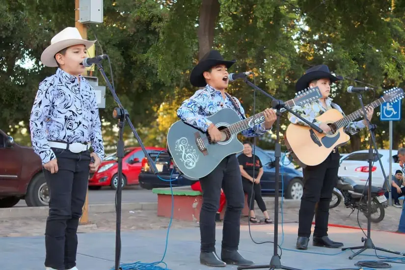 Parque Culiacán 87