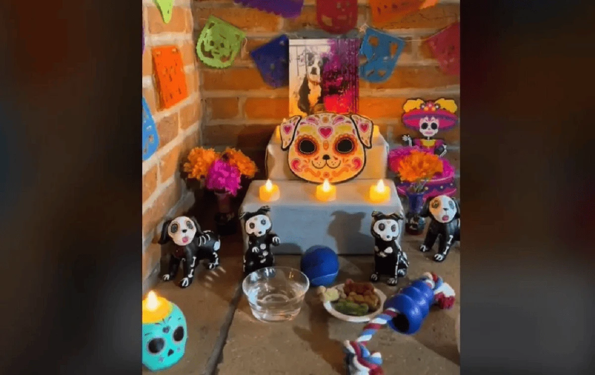 Qué día debe ponerse la ofrenda a los perros