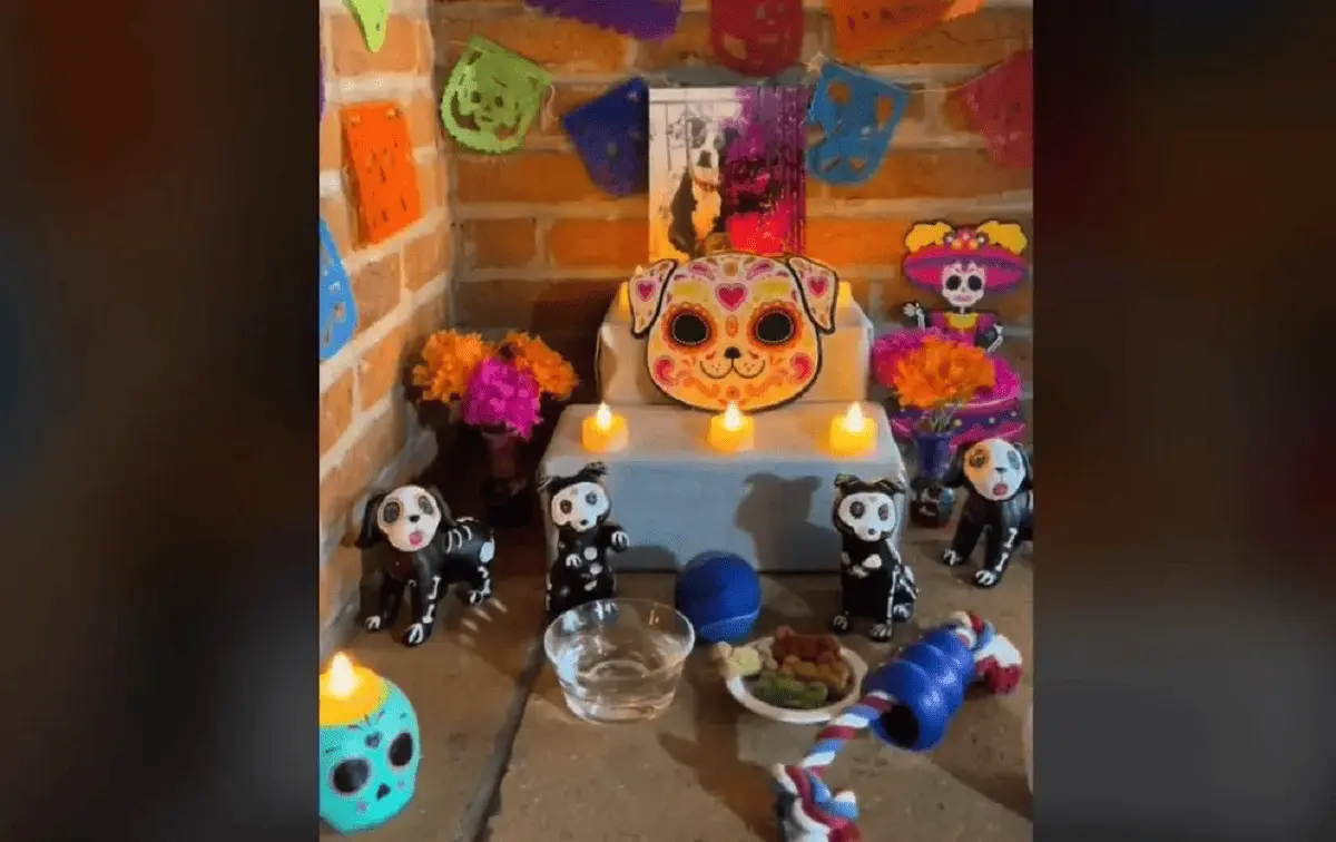 Qué día debe ponerse la ofrenda a los perros