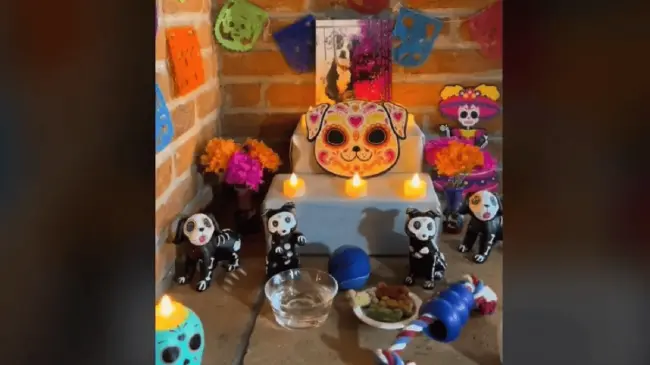 Qué día debe ponerse la ofrenda a los perros
