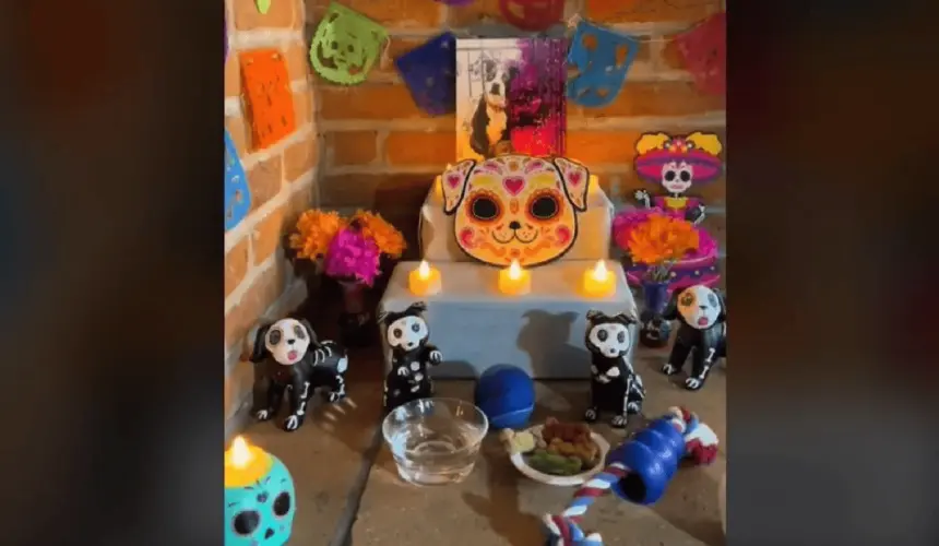 Qué día debe ponerse la ofrenda a los perros