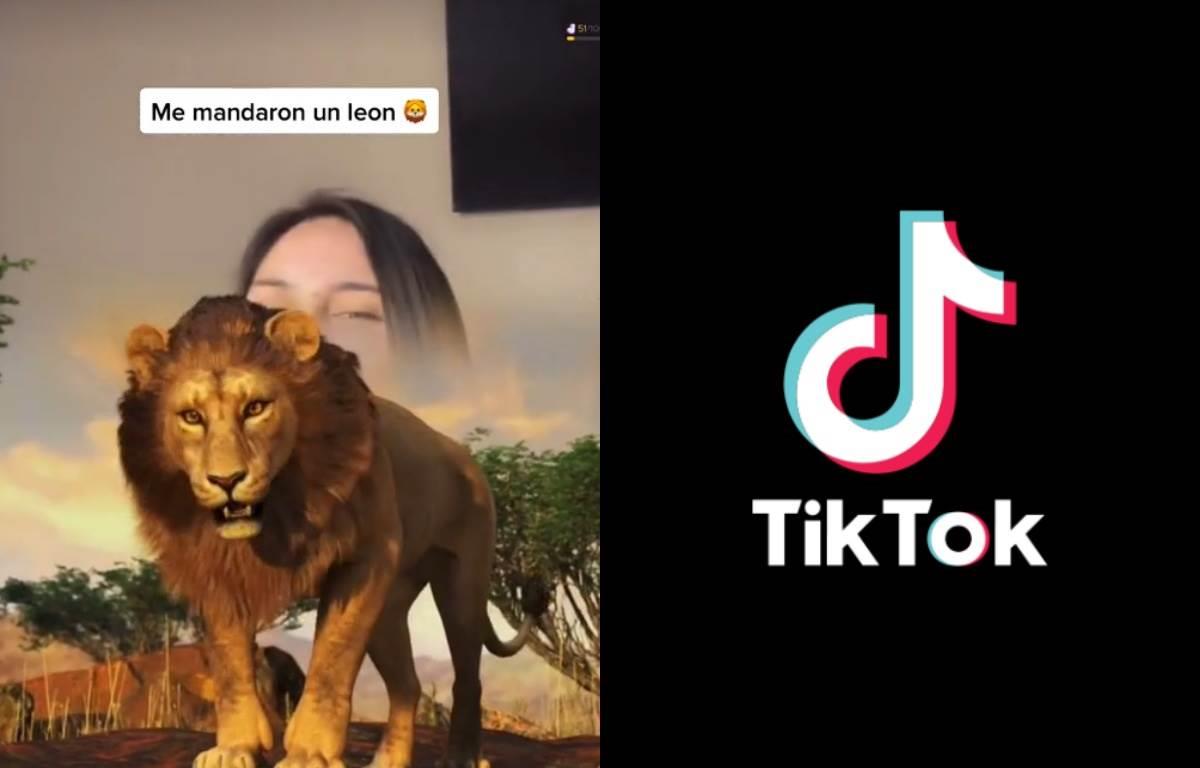 El león es uno de los regalos más costosos que pueden recibir los creadores de contenido en TikTok. Fotos: TikTok