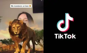 ¿Cuánto vale un león en TikTok? Uno de los regalos más deseados en los LIVE