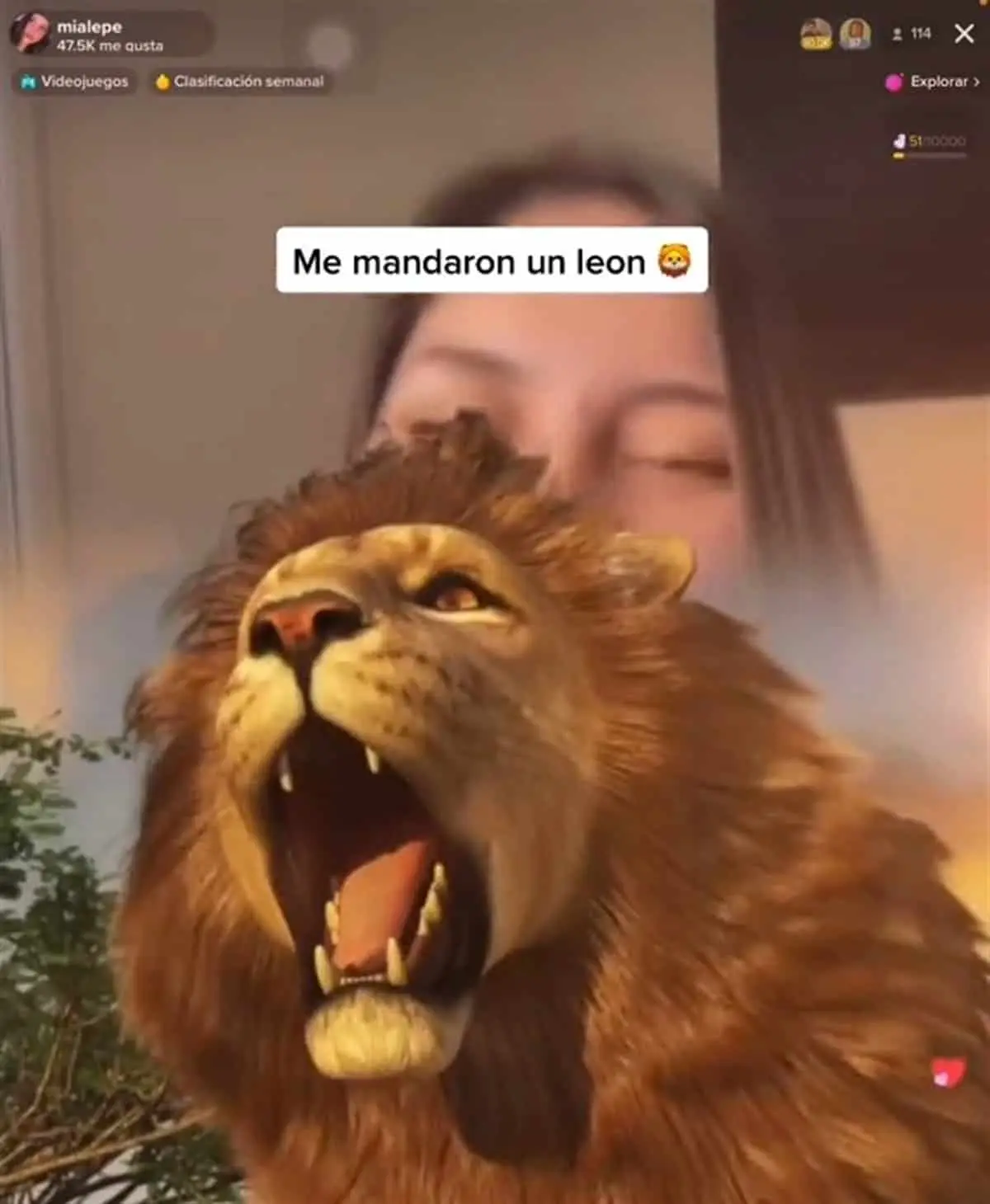 ¿Cuánto vale un león en TikTok?