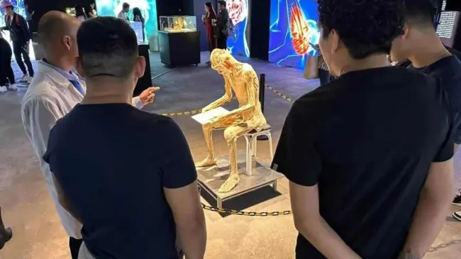 Exposición Bodies. Cuerpos humanos reales. Imagen Bodies Expo