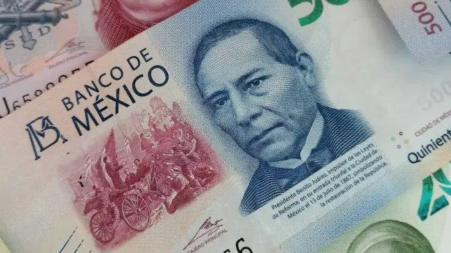 Miles de personas comienzarán con el trámite de su pensión | Imagen cortesía