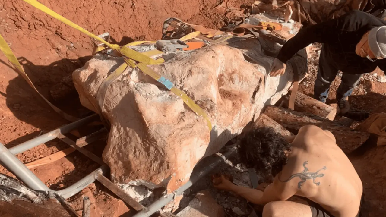 El derrumbe de un talud dejó expuesto un hueso gigante fosilizado. Crédito. Damián Boschetto