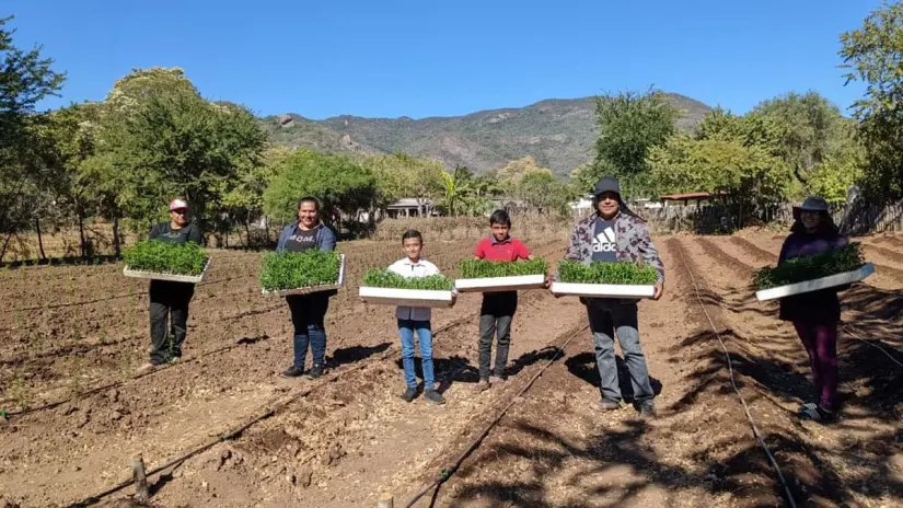 El chiltepín une a la familia en El Rincón de los Monzón, Badiraguato