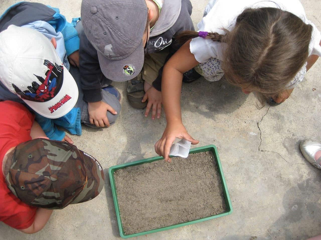Niños aprendiendo a cuidar el medio ambiente. Imagen Pixabay