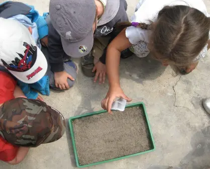 El poder transformador de la Educación Ambiental