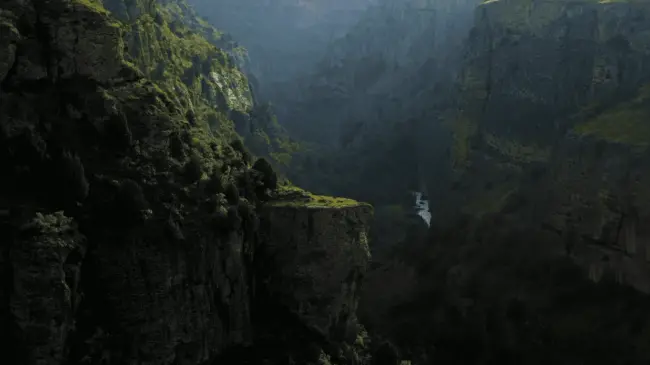 La Biodiversidad en México... Un espectáculo sin igual.