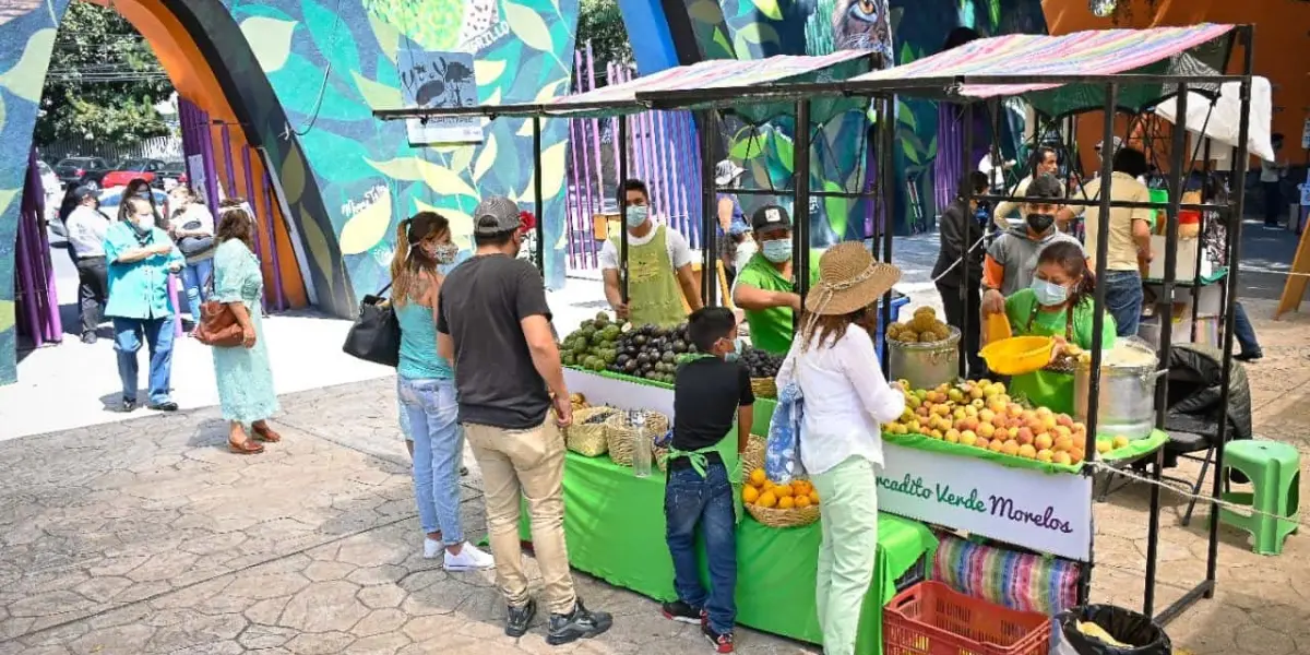 Personas disfrutando del Mercadito Verde en el parque la Barranca de Chapultepec. Foto Gobierno de Morelos