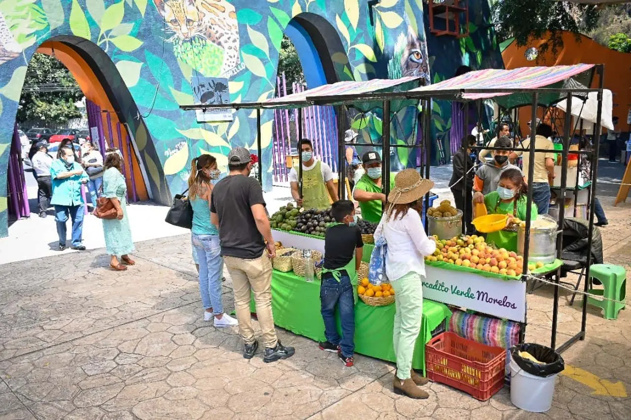 Personas disfrutando del Mercadito Verde en el parque la Barranca de Chapultepec. Foto Gobierno de Morelos