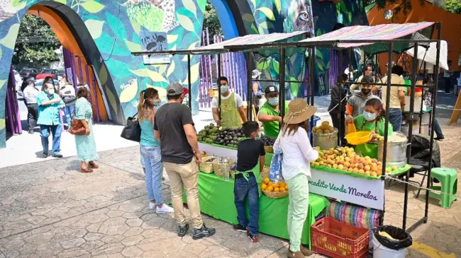 Personas disfrutando del Mercadito Verde en el parque la Barranca de Chapultepec. Foto Gobierno de Morelos