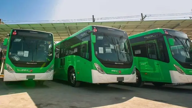 Los nuevos camiones eléctricos fueron ensamblados en Nuevo León. Foto: Cortesía