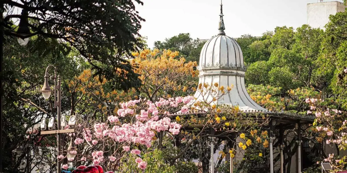 La ciudad de la Eterna Primavera. Foto Descubre México