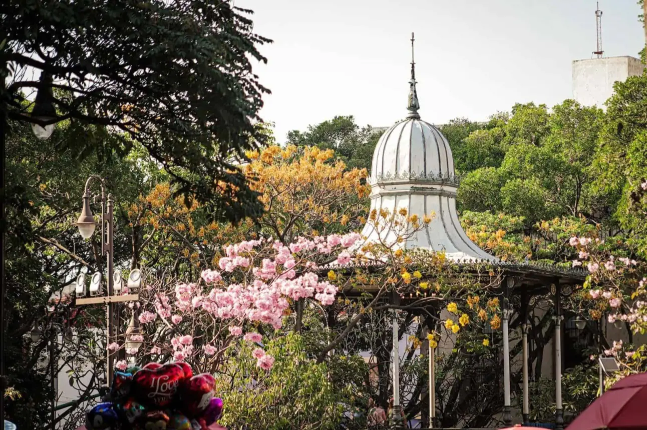 La ciudad de la Eterna Primavera. Foto Descubre México