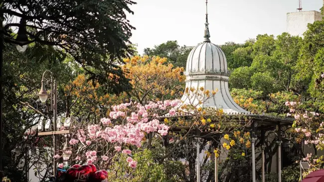 La ciudad de la Eterna Primavera. Foto Descubre México