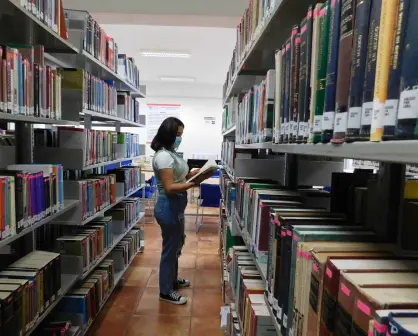 Descubre un mundo de conocimiento en la Biblioteca