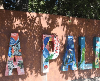 Las emblemáticas letras de La Palma, donde el arte se une en un espacio histórico