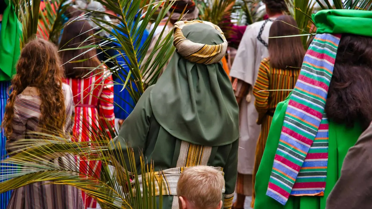 Cuál es la planta que se utiliza para el Domingo de Ramos. Foto: Grant Whitty