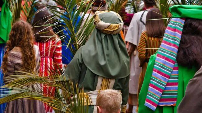 Cuál es la planta que se utiliza para el Domingo de Ramos. Foto: Grant Whitty