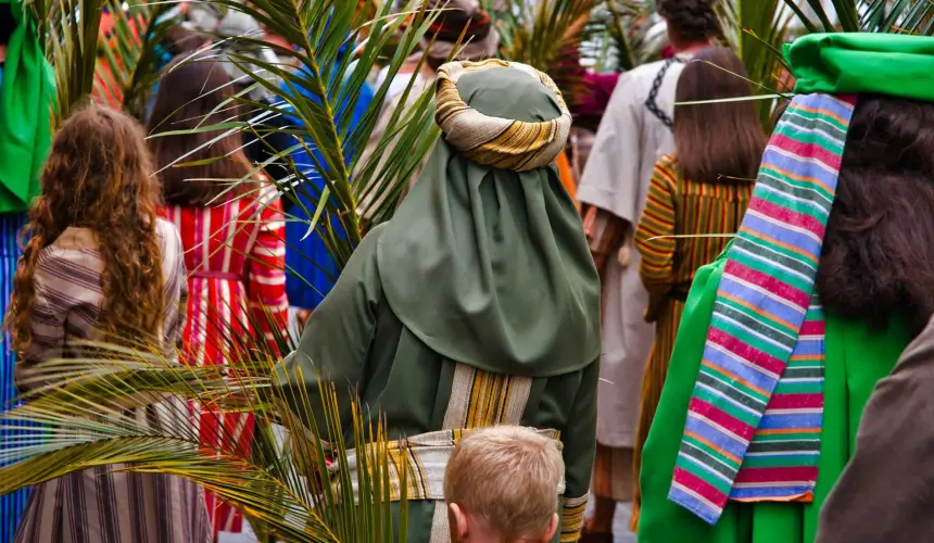 Cuál es la planta que se utiliza para el Domingo de Ramos. Foto: Grant Whitty