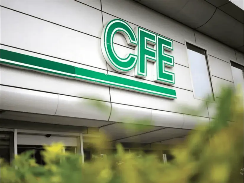 Conoce los requisitos. Foto: CFE