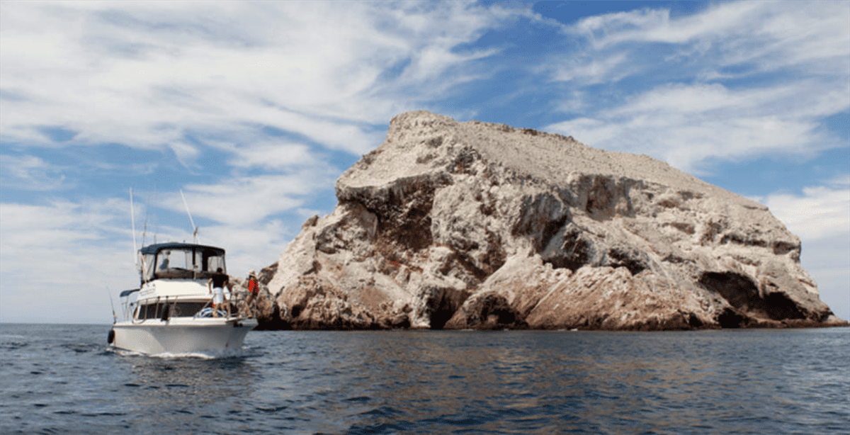 Isla de El Farallón, hábitat de lobos marinos en Sinaloa. Solo ver desde la embarcación