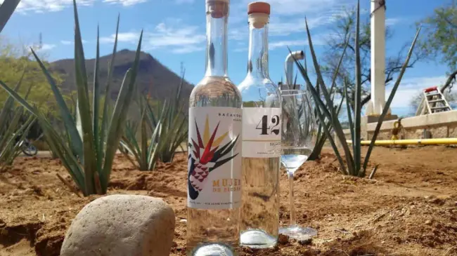 Bacanora, el destilado de Sonora. Foto Recomendaciones entre todos