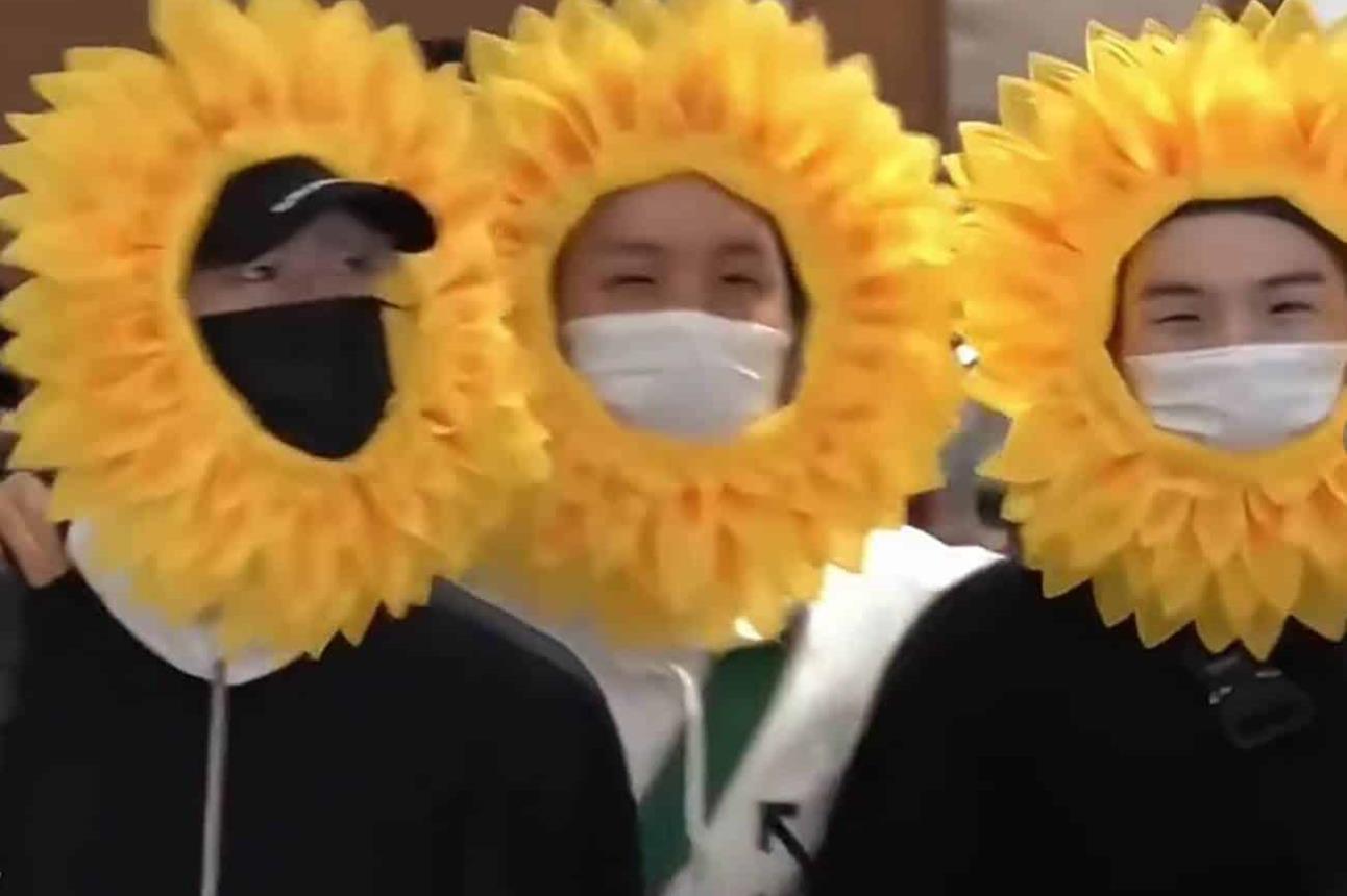 BTS disfrazados de flores amarillas.