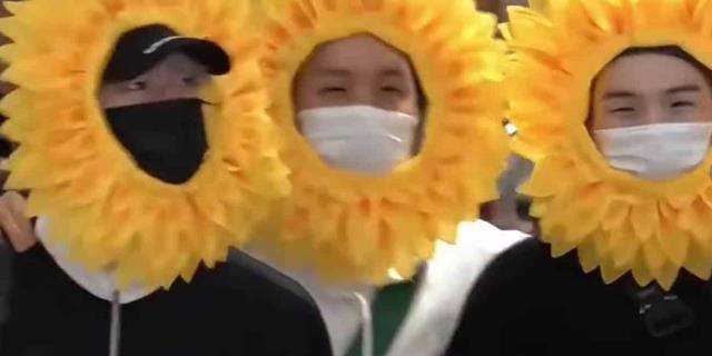 Army de BTS hacen viral de nuevo video de sus integrantes disfrazados de flores amarillas