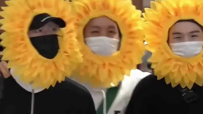 BTS disfrazados de flores amarillas.