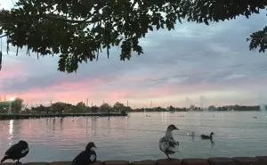 Este fin de semana paséate por la Laguna del Nainari en Ciudad Obregón, Sonora