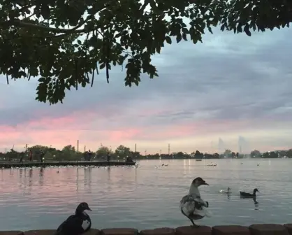 Este fin de semana paséate por la Laguna del Nainari en Ciudad Obregón, Sonora