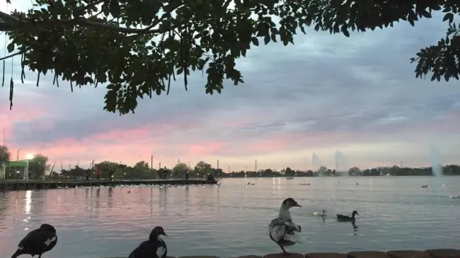 Atardecer en la Laguna del Nainari de Ciudad Obregón. Foto TripAdvisor